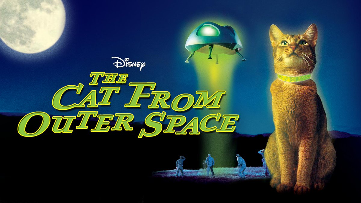 28 Must-See Cat Movies